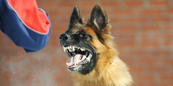 5ad708afe52c2d29008b46ed