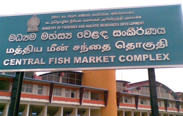fish-market