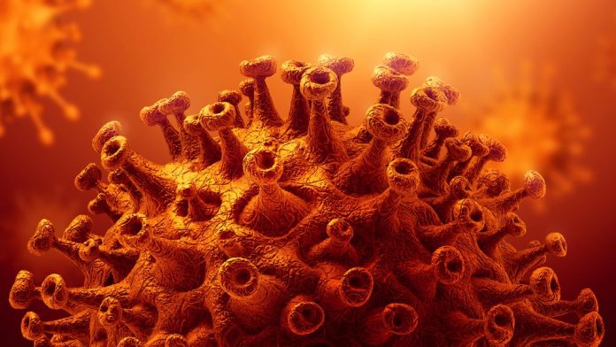 _114283157_1024-spread-gettyimages-1214510726