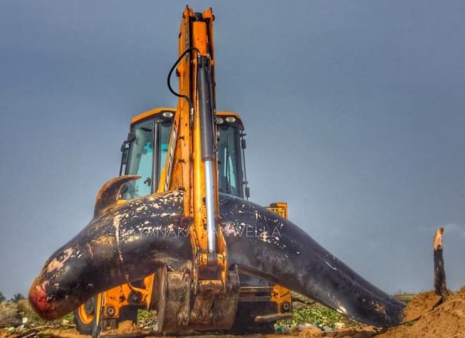 123408952_2899010176993873_2898934223406346989_n