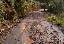 නෙළුව-ලංකාගම මාර්ගයට සිංහරාජ වනයෙන් සාත්තුවක්