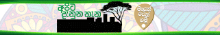 spot_img