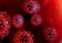 කොරෝනා කළ හදියක්