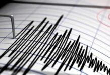 ඉන්දුනීසියාව අසන්නයේ ප්රබල භූමිකම්පාවක්