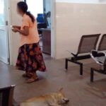 WhatsApp-Image-2025-05-08-at-15.13.52_f16cb632
