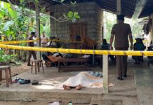 සයිබර් මංකොල්ලයේ විමර්ශන අතරතුර සහකාර අධ්යක්ෂවරයෙක් අබිරහස් ලෙස මරුට