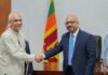 එරාන්ගේ පත්වීම, ක්රිකට් අනාගතය සහ සජබ
