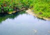ලංකාවේ පළමු භූතාප තෙත්බිම ලෙස කපුරැල්ල ඉතිහාසගත වෙයි