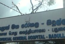 බදුල්ල රෝහලේ නිර්වින්දන විශේෂඥ වෛද්යවරයා අතුරුදන් – මෝටර් රථය අලි ගැවසෙන ප්රදේශයකින් හමුවෙයි