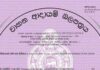 වාහන ආදායම් බලපත්ර මාර්ගගතව නිකුත් කිරීම පළාත් 8ක තාවකාලිකව නවතී